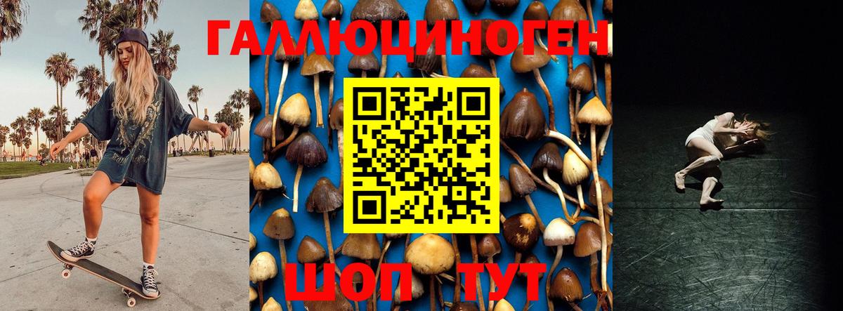 Новотроицк  Псилоцибиновые грибы мицелий  Вход с VPN 
